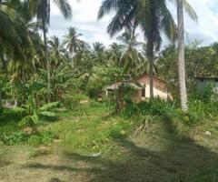 Land for sale in ibbagamuwa