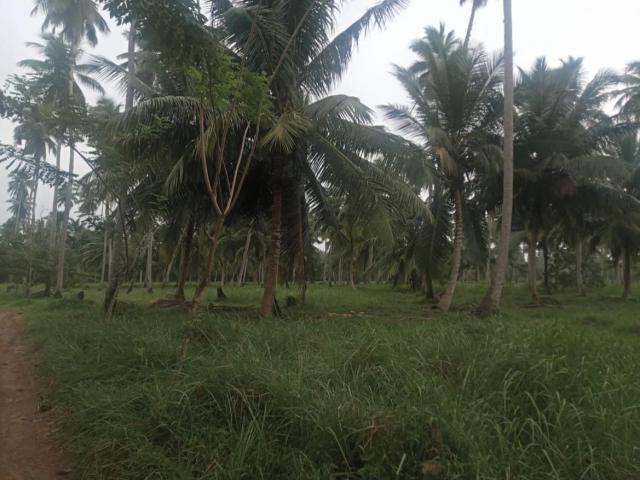 100 acres land for sale in puttalam - 6/6