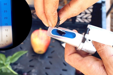 Unlock the Sweetness: Get Your Fruit Juice Brix Meter at an Unbeatable Price in Sri Lanka!